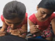 Desi Girl Sucking Dick